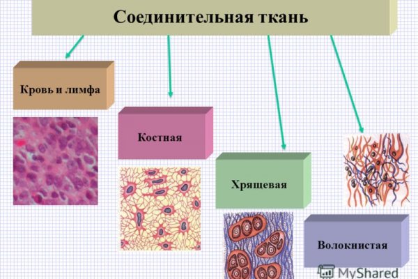 Как пополнить кошелек на кракене даркнет