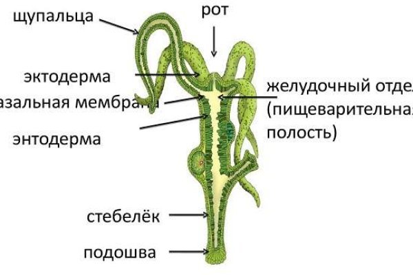 Ссылка на кракен 2krnmarket